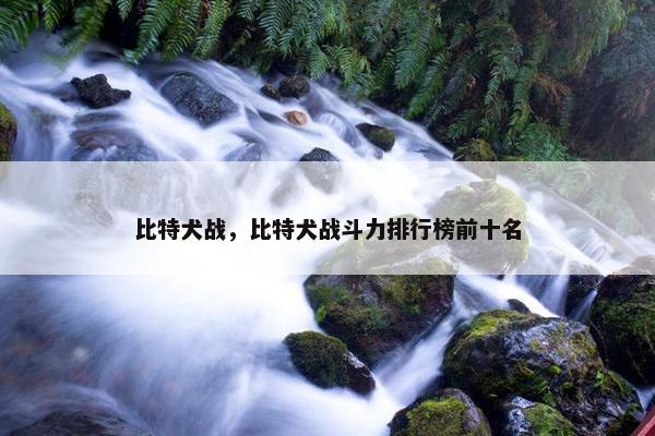 比特犬战，比特犬战斗力排行榜前十名