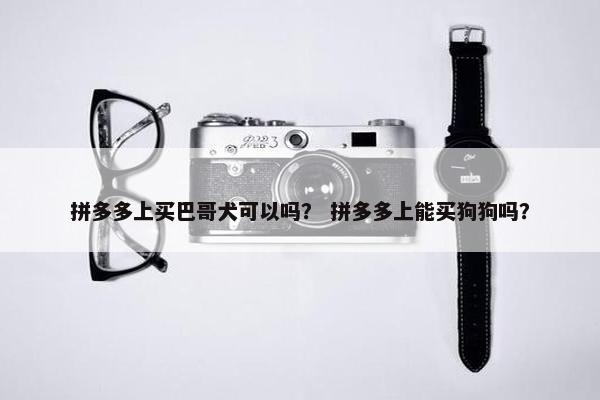拼多多上买巴哥犬可以吗？ 拼多多上能买狗狗吗？