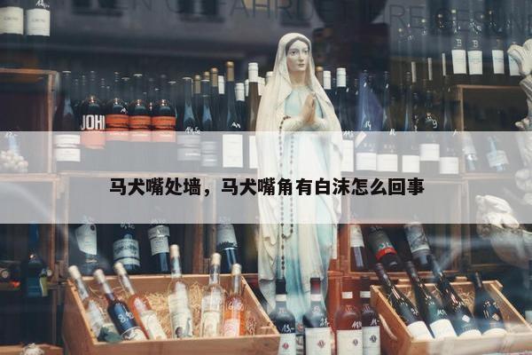 马犬嘴处墙，马犬嘴角有白沫怎么回事