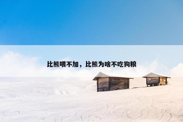 比熊喂不加，比熊为啥不吃狗粮