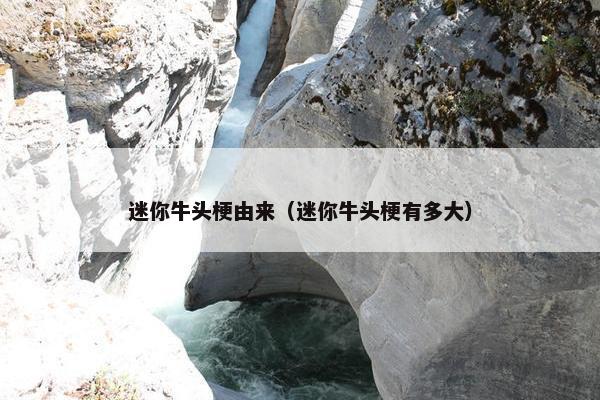 迷你牛头梗由来（迷你牛头梗有多大）