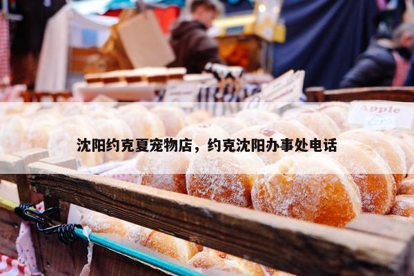 沈阳约克夏宠物店，约克沈阳办事处电话