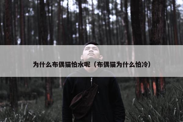 为什么布偶猫怕水呢（布偶猫为什么怕冷）