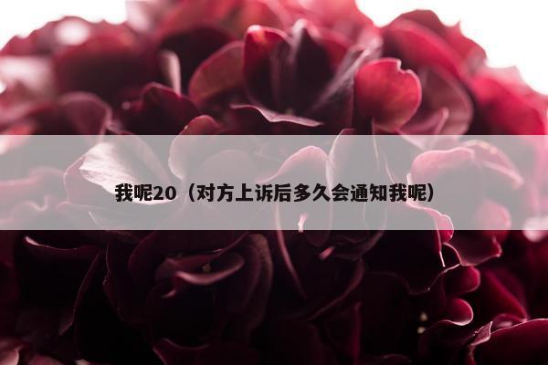 我呢20（对方上诉后多久会通知我呢）