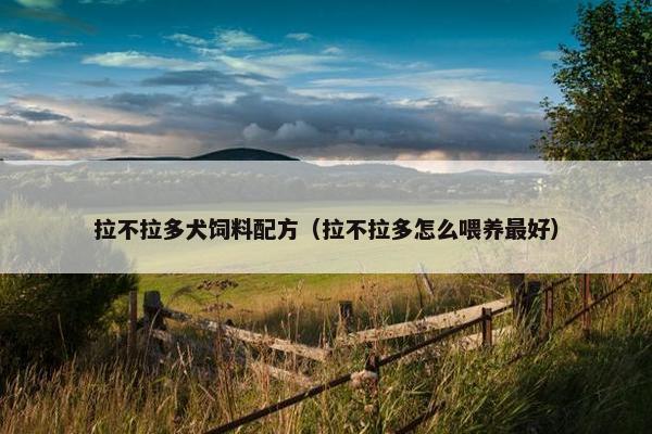 拉不拉多犬饲料配方（拉不拉多怎么喂养最好）