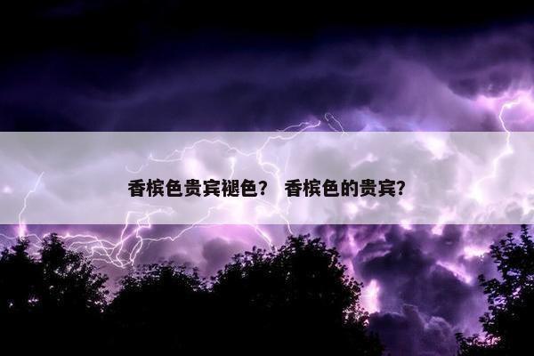 香槟色贵宾褪色？ 香槟色的贵宾？