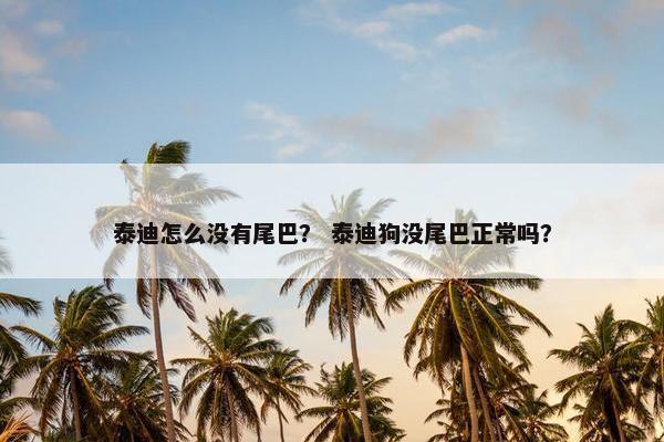 泰迪怎么没有尾巴？ 泰迪狗没尾巴正常吗？