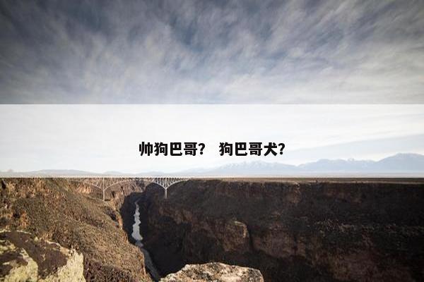 帅狗巴哥？ 狗巴哥犬？