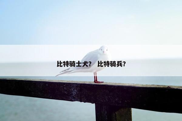 比特骑士犬？ 比特骑兵？