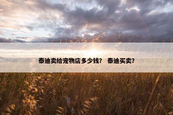 泰迪卖给宠物店多少钱？ 泰迪买卖？