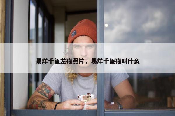易烊千玺龙猫照片，易烊千玺猫叫什么