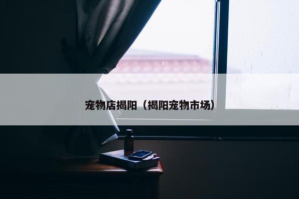 宠物店揭阳（揭阳宠物市场）