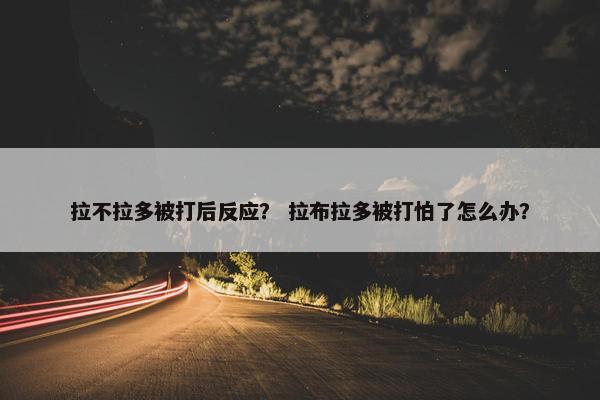 拉不拉多被打后反应？ 拉布拉多被打怕了怎么办？