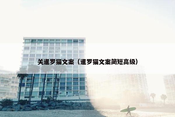 关暹罗猫文案（暹罗猫文案简短高级）