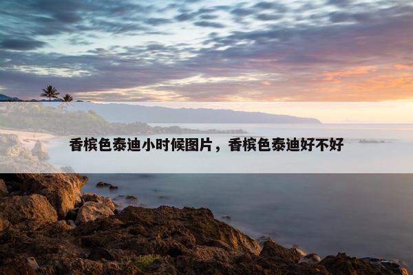香槟色泰迪小时候图片，香槟色泰迪好不好