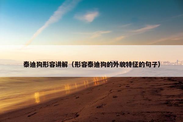 泰迪狗形容讲解（形容泰迪狗的外貌特征的句子）