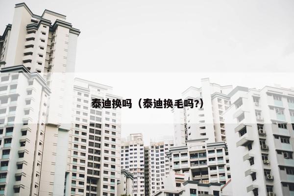 泰迪换吗（泰迪换毛吗?）