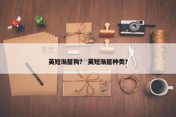 英短渐层狗？ 英短渐层种类？
