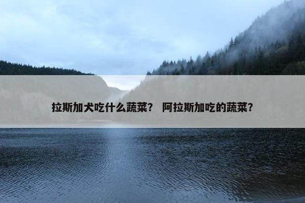 拉斯加犬吃什么蔬菜？ 阿拉斯加吃的蔬菜？