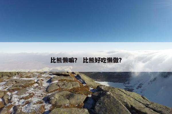 比熊懒嘛？ 比熊好吃懒做？