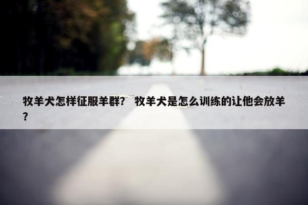 牧羊犬怎样征服羊群？ 牧羊犬是怎么训练的让他会放羊？