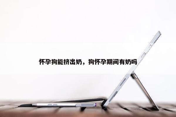 怀孕狗能挤出奶，狗怀孕期间有奶吗