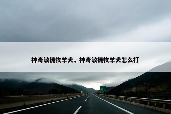 神奇敏捷牧羊犬，神奇敏捷牧羊犬怎么打