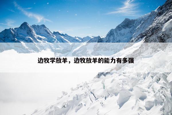 边牧学放羊，边牧放羊的能力有多强