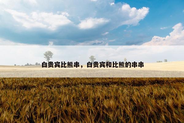 白贵宾比熊串，白贵宾和比熊的串串