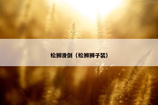 松狮滑倒（松狮狮子装）