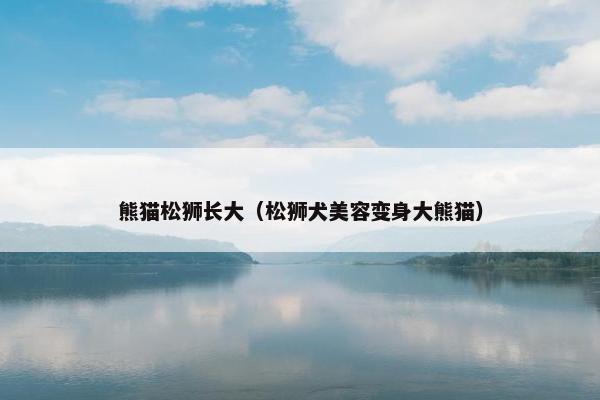 熊猫松狮长大（松狮犬美容变身大熊猫）