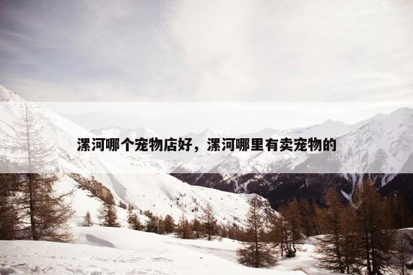 漯河哪个宠物店好，漯河哪里有卖宠物的