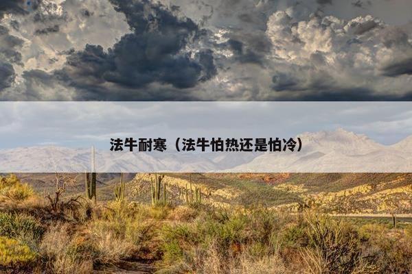 法牛耐寒（法牛怕热还是怕冷）