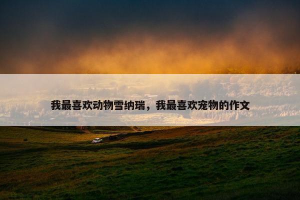 我最喜欢动物雪纳瑞，我最喜欢宠物的作文