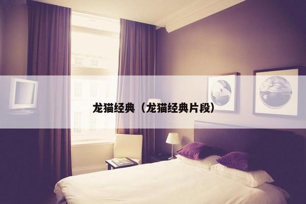 龙猫经典（龙猫经典片段）