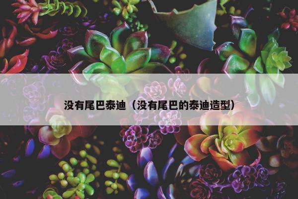 没有尾巴泰迪（没有尾巴的泰迪造型）