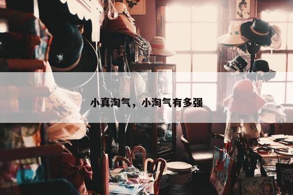 小真淘气，小淘气有多强