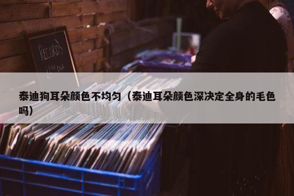 泰迪狗耳朵颜色不均匀（泰迪耳朵颜色深决定全身的毛色吗）