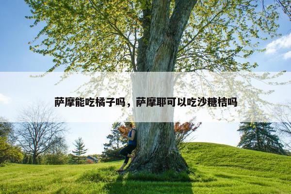 萨摩能吃橘子吗，萨摩耶可以吃沙糖桔吗