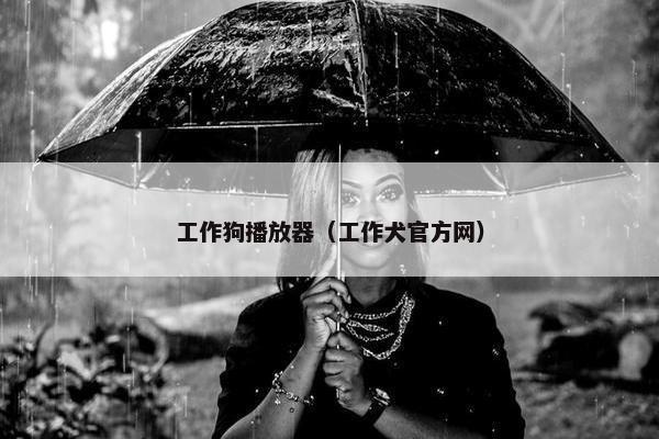 工作狗播放器（工作犬官方网）