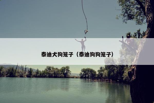泰迪犬狗笼子（泰迪狗狗笼子）