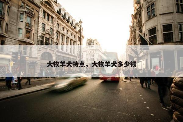 大牧羊犬特点，大牧羊犬多少钱