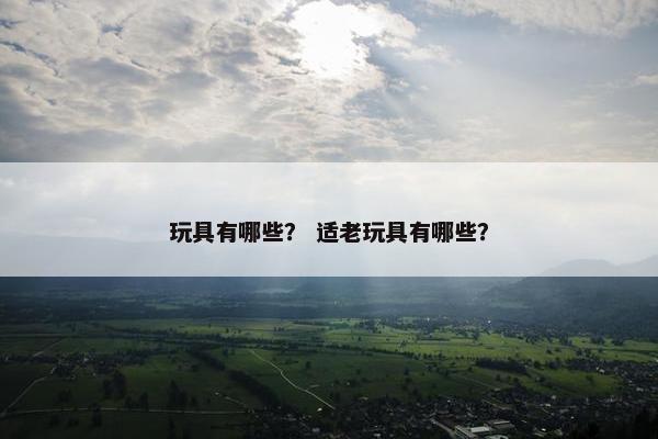 玩具有哪些？ 适老玩具有哪些？