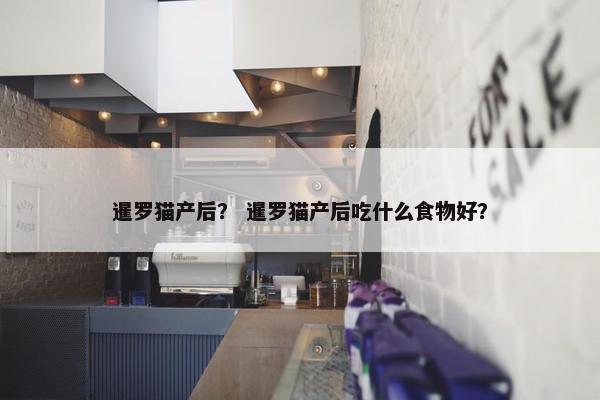 暹罗猫产后？ 暹罗猫产后吃什么食物好？