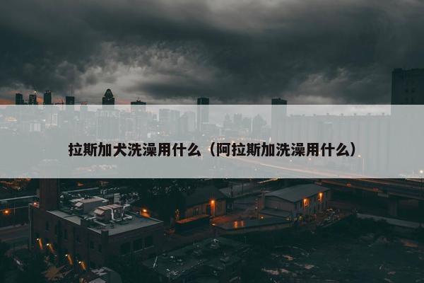 拉斯加犬洗澡用什么（阿拉斯加洗澡用什么）