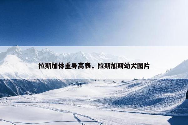 拉斯加体重身高表，拉斯加斯幼犬图片