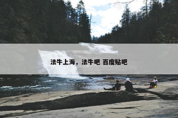 法牛上海，法牛吧 百度贴吧