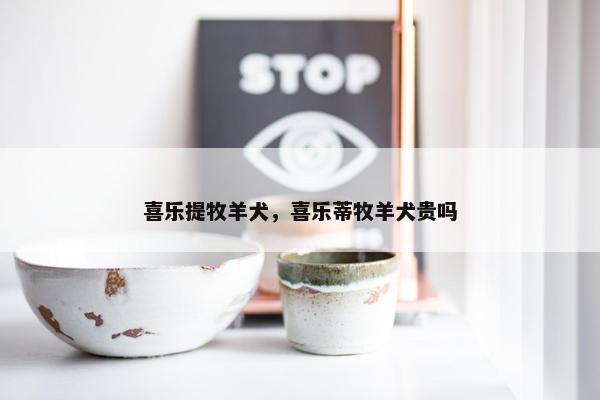 喜乐提牧羊犬，喜乐蒂牧羊犬贵吗