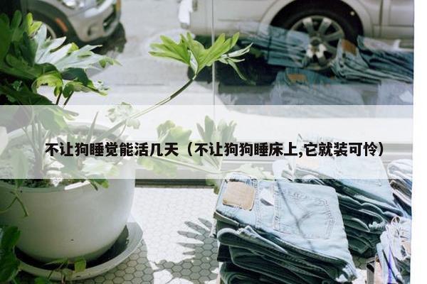 不让狗睡觉能活几天（不让狗狗睡床上,它就装可怜）