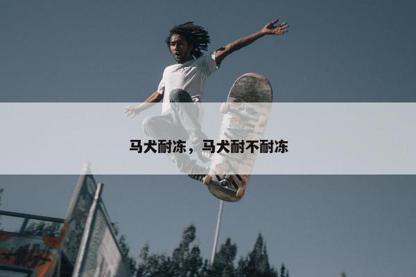 马犬耐冻，马犬耐不耐冻